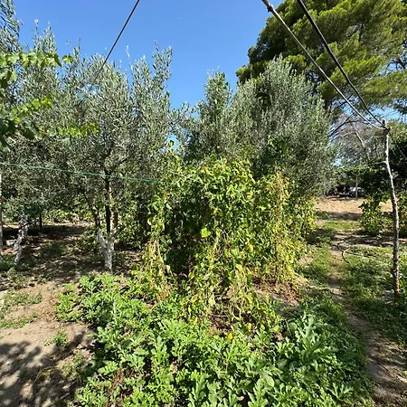 Vlora Three Houses Exterior foto