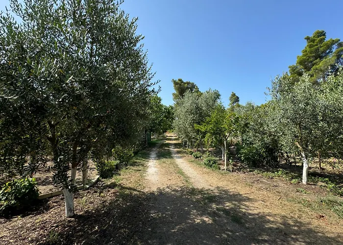 Vlora Three Houses